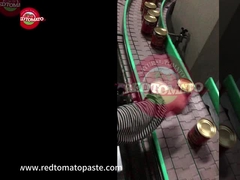 معجون ثلاثي تركيز الطماطم 425 غرام مغطاة مفتوحة صلبة لكل علبة