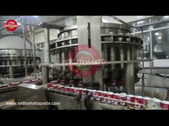 معجون الطماطم المعلبة سهلة فتح الغطاء والإنتاج