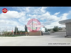 عن طعام الطماطم الحمراء