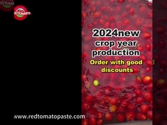 عينة معجون الطماطم